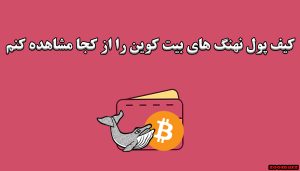 کیف پول نهنگ های بیت کوین را از کجا مشاهده کنم