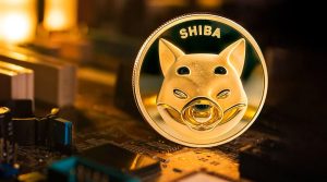 حریم خصوصی، اولویت اصلی شیبا! آیا این رویکرد قیمت SHIB را به اوج می‌رساند؟