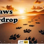 معیارهای اصلی تخصیص ایردراپ PAWS اعلام شد