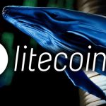 تأیید ETF لایت‌کوین نزدیک است؟ نهنگ‌ها ۵۱۲ میلیون دلار LTC انباشت کردند!