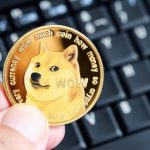 افت چشمگیر فعالیت شبکه Dogecoin؛ ۹۵٪ کاهش، چه انتظاری داریم؟