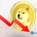 شوک به طرفداران DOGE؛ کاهش ناگهانی قیمت و سوال‌های بی‌پاسخ