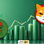 میم ‌کوین محبوب بازار چشم‌ به راه صعود ۸۱ درصدی