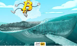 نهنگهای بزرگ چند درصد عرضه بیت کوین را در اختیار دارند؟