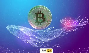 هولدرهای بزرگ دوباره در حال انباشت بیت ‌کوین؛ معنی این چیست؟