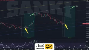 اگر این اتفاق بیفتد سلطان میم‌ کوین‌ ها ظرف ۵۵ روز به قله جدید تاریخی می‌رسد