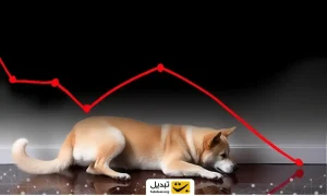 میم کوین مشهور در معرض سقوط ۶۰ درصدی