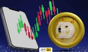 سه دلیل برای احتمال ریزش ۶۰ درصدی سلطان میم کوین ها