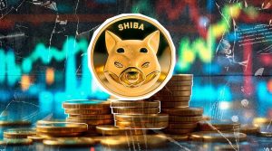 فرصت طلایی برای خریداران شیبا؛ تحلیلگر مطرح از رشد ۱۷ برابری SHIB می‌گوید!