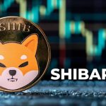 تعداد کیف‌پول‌های شیباریوم از ۲۰۰ میلیون گذشت! زمان جهش قیمت SHIB فرا رسیده؟
