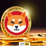 سیگنال رالی ۲۱۰ درصدی این میم‌ کوین را از دست ندهید