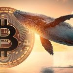 نهنگ جنجالی بیت‌کوین دوباره وارد بازی شد؛ این‌بار با پوزیشن شورت ۴۰ برابری!
