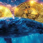 شرط‌بندی میلیاردی نهنگ بیت‌کوین با اهرم ۴۰ برابر؛ پایان این ماجراجویی چطور رقم خورد؟