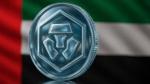 دبی پرداخت ارز دیجیتال برای خدمات دولتی را فراهم می‌کند
