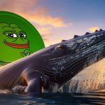 نهنگ افسانه‌ای پپه برگشت؛ برداشت ۲ تریلیون PEPE از بایننس پس از ۲ سال سکوت!
