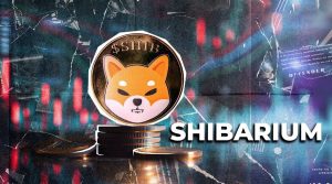تعداد تراکنش‌های شیباریوم اوج گرفت! قیمت SHIB هم به دنبال آن صعود می‌کند؟
