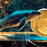 نهنگ‌های شیبا رکورد شش ماهه را شکستند! منتظر موج صعودی جدید SHIB باشیم؟
