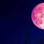 تماشای ماه توت فرنگی را از دست ندهید!