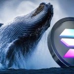 چراغ قرمز SEC به نهنگ سولانا؛ پیشنهاد خرید ۱ میلیارد دلار SOL رد شد!