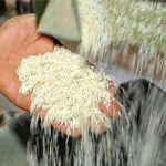 قیمت برنج هندی در شلف‌های دبی ارزان‌تر از داخل ایران