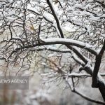 سرمای شدید در راه تهران/ هشدار بارش باران و برف از امروز