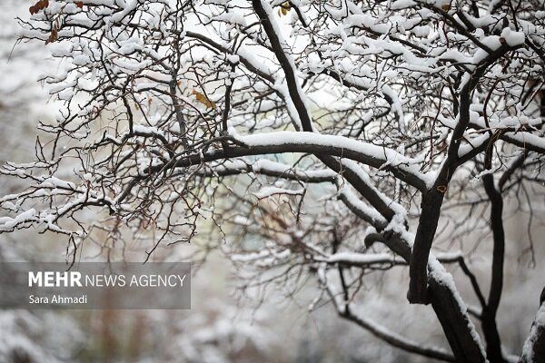 سرمای شدید در راه تهران/ هشدار بارش باران و برف از امروز