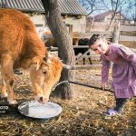 تصاویر| زندگی آرام در قلب قفقاز