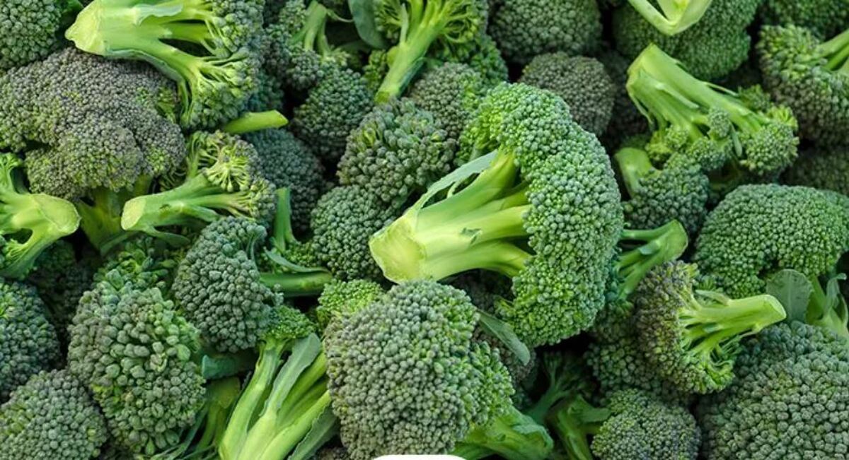 از سلامت چشم‌ها و قلب تا کاهش کلسترول؛ همه با این خوراکی