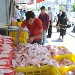 توزیع مرغ دولتی / از این مراکز مرغ را زیر ۱۰۰ هزار تومان بخرید