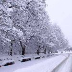 بارش شدید برف همدان را سفیدپوش کرد+ عکس