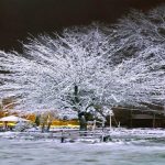 هشدار بارش برف شدید در این استانها تا اول دی / بارش برف سنگین پیشبینی شد