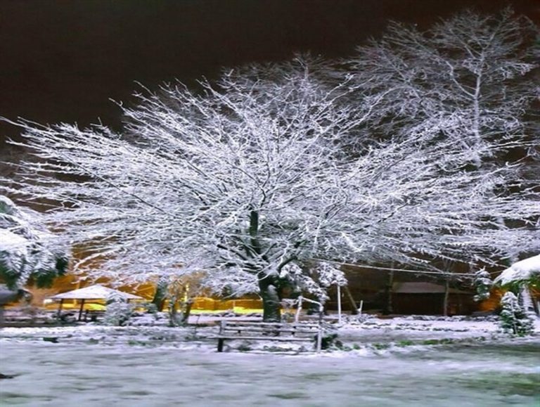 هشدار بارش برف شدید در این استان‌ها تا اول دی / بارش برف سنگین پیش‏‎بینی شد