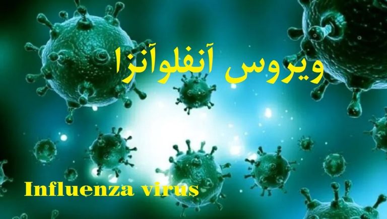 وزارت بهداشت برای مهار کامل موج شدید آنفلوآنزا تاریخ اعلام کرد