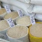 قیمت برنج نجومی شد / تعزیرات وارد عمل شد