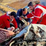 چهار فوتی در پی برخورد دو تریلی با یک خودروی پراید+ فیلم