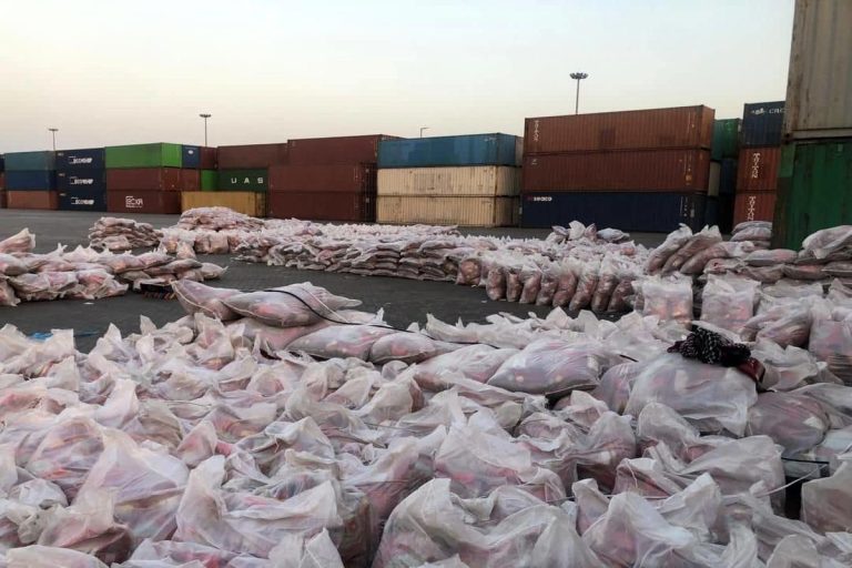 ۱۰۰ هزار تن برنج در بنادر تلنبار شده/ فاسد شدن و ریختن برنج در دریا ؟