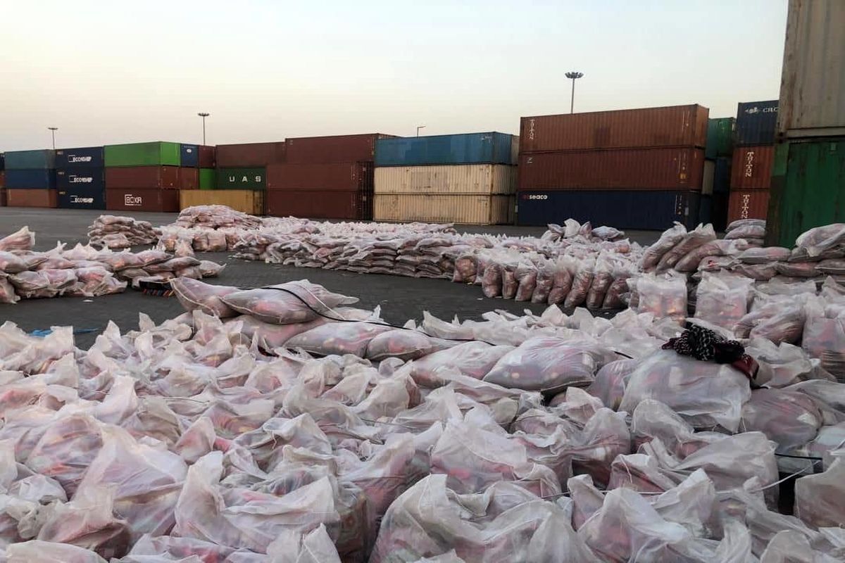 ۱۰۰ هزار تن برنج در بنادر تلنبار شده/ فاسد شدن و ریختن برنج در دریا ؟