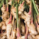 معجزه زنجبیل در پیشگیری از فشار خون بالا