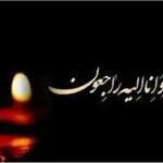 فوری/ چهره محبوب عشایر لُر و قشقایی درگذشت