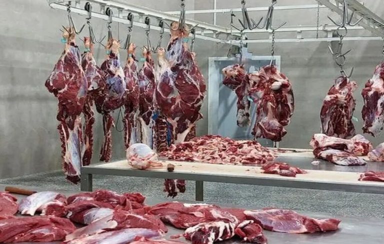 عرضه گوشت قرمز دولتی آغاز شد / گوشت را کیلویی ۵۰۰ هزارتومان ارزان‌تر بخرید