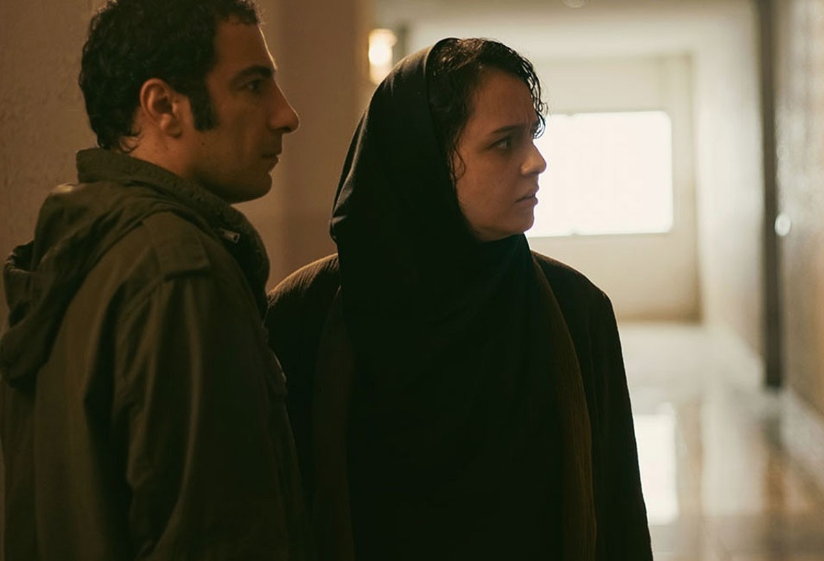 ماجرای استوری نوید محمدزاده علیه ترانه علیدوستی/ محمدزاده توضیح داد