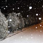 بارش برف در تهران آغاز شد / پایتخت‌نشینان آماده بارش‌های شدیدتر باشند