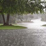 تصاویر آخرالزمانی از رگبار استوایی در یک شهر ایران+ فیلم