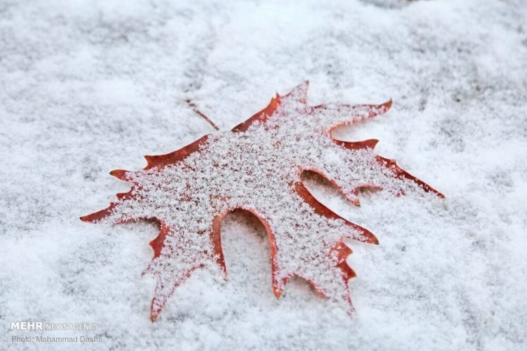 نفوذ هوای سرد قطبی و تشدید بارش‌ها در کشور / ۲۵ استان آماده‌باش شدند