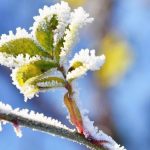 هشدار یخبندان گسترده در ۲۷ استان