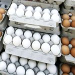 قیمت تخم مرغ هم نجومی شد/ هر شانه تخم مرغ چند؟