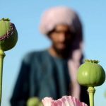 شربت تریاک کم شد / از هر ۱۰۰ بیمار فقط به ۲۰ نفر شربت تریاک می‌رسد