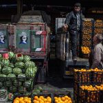 قیمت میوههای شب یلدا اعلام شد/ ورود میوههای لاکچری به سفره شب چله