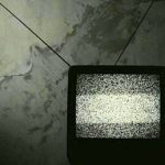 پوست شیر «ابی» در تلویزیون آزاد شد؟ + فیلم