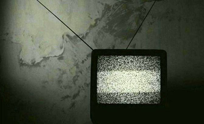 پوست شیر «ابی» در تلویزیون آزاد شد؟ + فیلم